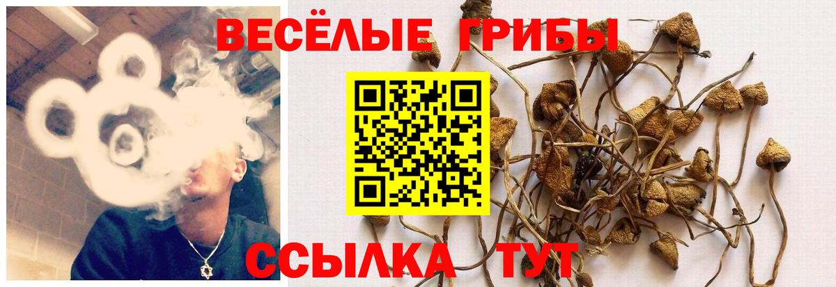 Псилоцибиновые грибы мицелий  Вход с VPN  Фурманов 